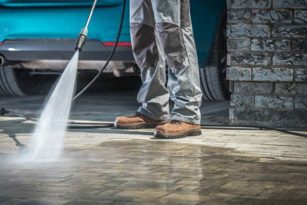 Best Boat and Dock Cleaning  in Larksville, PA