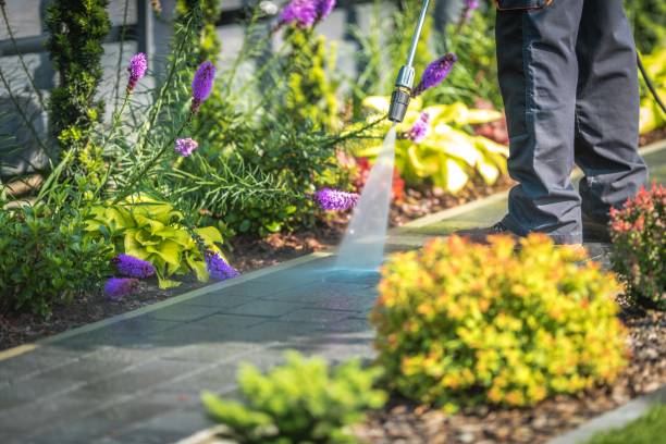 Best Animal Enclosure Cleaning  in Larksville, PA