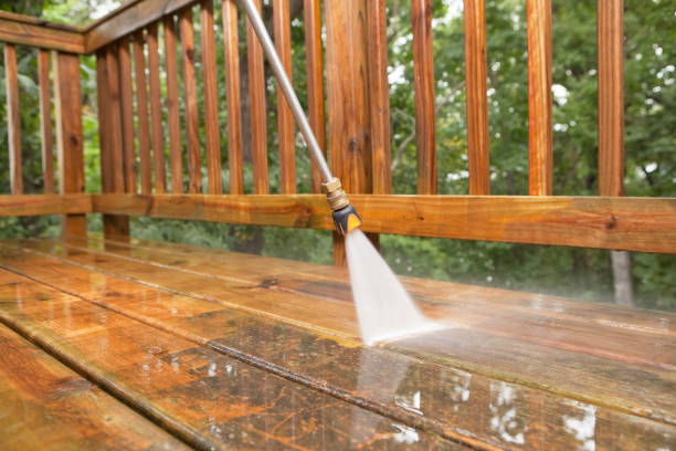 Best House Exterior Washing  in Larksville, PA